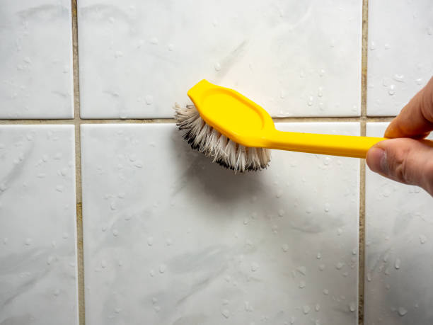 Mold Testing and Removal in Shafer, MN