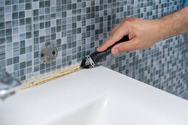 Best Fast Mold Removal  in Shafer, MN